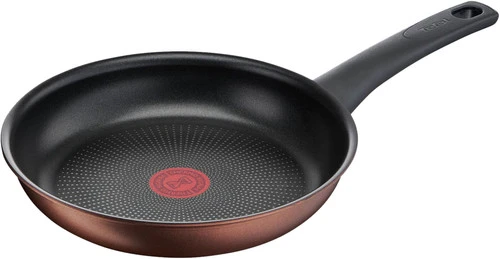 Tefal Resource Koekenpan 24 Cm